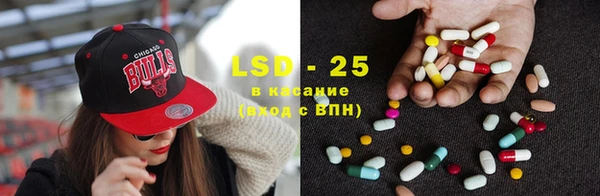 PSILOCYBIN Медвежьегорск