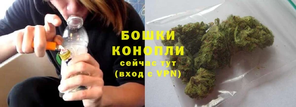 PSILOCYBIN Медвежьегорск
