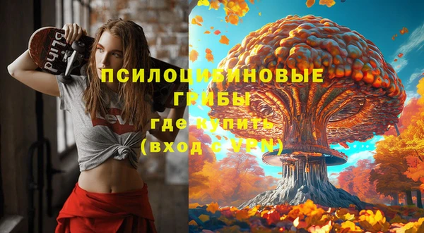 прущая мука Медногорск