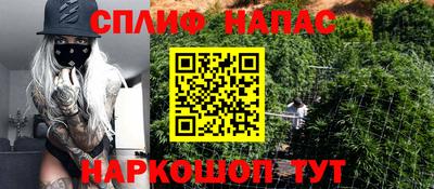 сатива Апшеронск