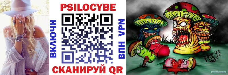 Галлюциногенные грибы MAGIC MUSHROOMS  где купить наркоту  Тында 