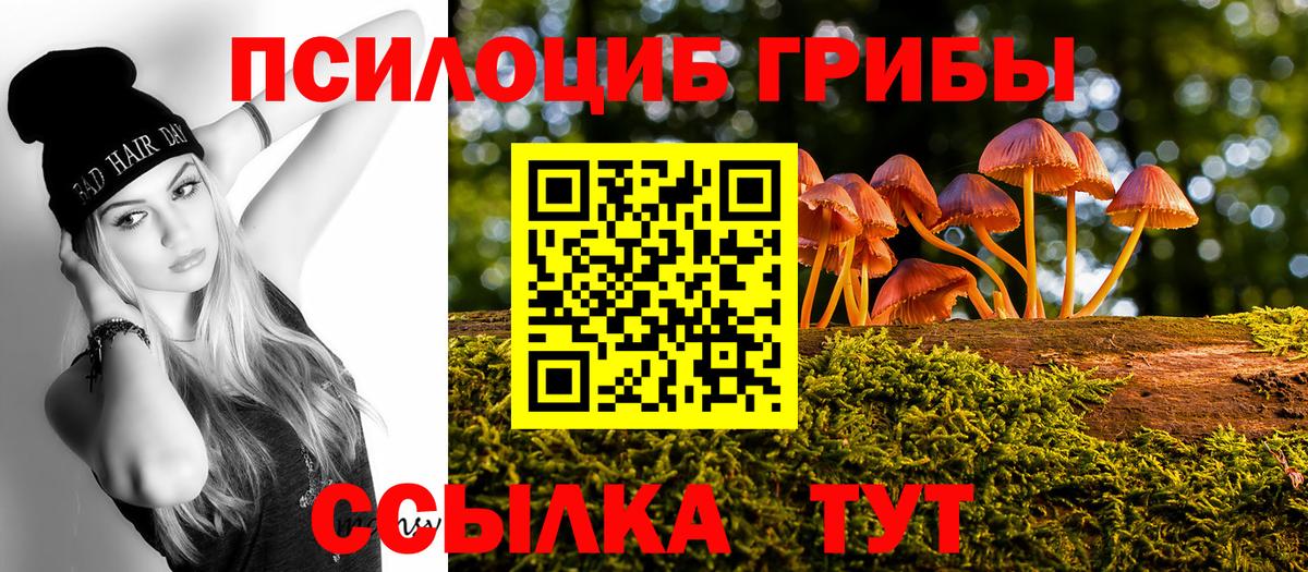 Тында  Галлюциногенные грибы Magic Shrooms  Вход с VPN 
