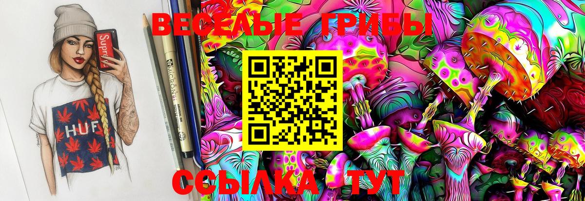 Галлюциногенные грибы Psilocybe  Тында  Галлюциногенные грибы мицелий 