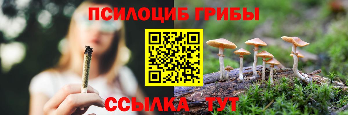 Псилоцибиновые грибы Cubensis Тында