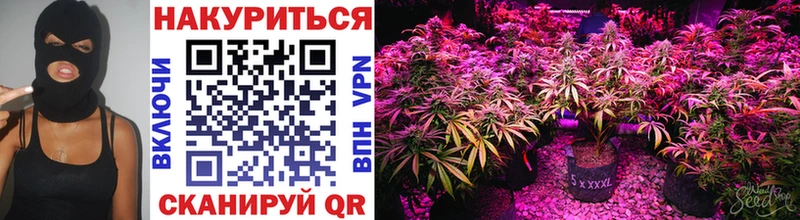 купить наркотики цена  Тында  Бошки марихуана Bruce Banner 